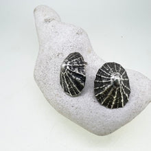 Load image into Gallery viewer, Marazion solid shell oxidised limpet stud earrings