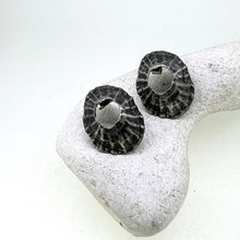 Load image into Gallery viewer, Mevagissey limpet shell stud oxidised earrings