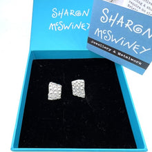 Load image into Gallery viewer, Porthmeor Sea urchin fragment earrings