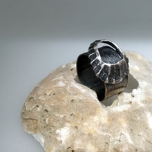 Load image into Gallery viewer, Godrevy limpet shell adjustable ring in oxidised silver handmade by Sharon McSwiney