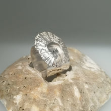 Load image into Gallery viewer, Marazion limpet shell ring in sterling silver handmade by Sharon McSwiney
