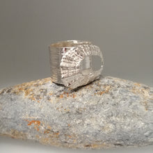 Load image into Gallery viewer, Marazion limpet shell ring in sterling silver handmade by Sharon McSwiney