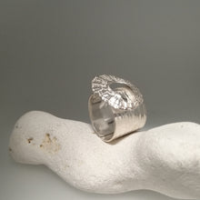 Load image into Gallery viewer, Marazion limpet shell ring in sterling silver handmade by Sharon McSwiney
