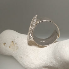 Load image into Gallery viewer, Marazion limpet shell ring in sterling silver handmade by Sharon McSwiney