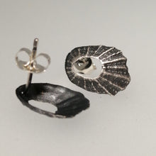 Load image into Gallery viewer, Oxidised silver tiny Marazion limpet shell studs handmade by Sharon McSwiney