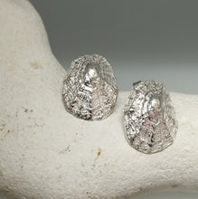 Load image into Gallery viewer, Sterling silver porthminster beach limpet stud earrings handmade by Sharon McSwiney