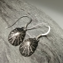 Load image into Gallery viewer, Oxidised silver Porthminster beach limpet shell earrings handmade by Sharon McSwiney
