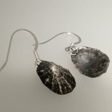 Load image into Gallery viewer, Oxidised silver Porthminster beach limpet shell earrings handmade by Sharon McSwiney