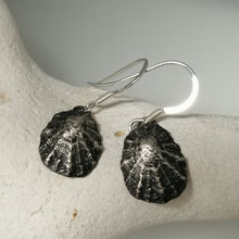 Load image into Gallery viewer, Porthminster Beach oxidised limpet earrings