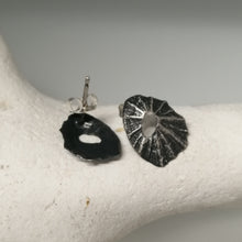 Load image into Gallery viewer, Sennen Cove limpet shell earrings in oxidised sterling silver handmade by Sharon McSwiney