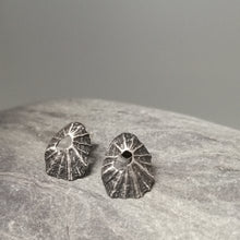 Load image into Gallery viewer, Sennen Cove limpet shell earrings in oxidised sterling silver handmade by Sharon McSwiney