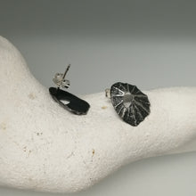 Load image into Gallery viewer, Sennen Cove limpet shell earrings in oxidised sterling silver handmade by Sharon McSwiney in a giftbox