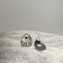 Load image into Gallery viewer, Sennen Cove limpet shell earrings in oxidised sterling silver handmade by Sharon McSwiney