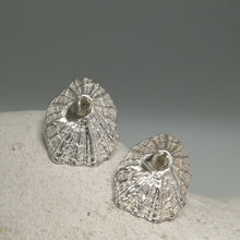 Load image into Gallery viewer, Sennen Cove limpet shell earrings in sterling silver handmade by Sharon McSwiney