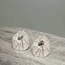 Load image into Gallery viewer, Sennen Cove limpet shell earrings in sterling silver handmade by Sharon McSwiney