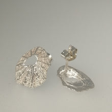 Load image into Gallery viewer, Sennen Cove limpet shell earrings in sterling silver handmade by Sharon McSwiney