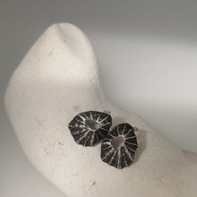 Load image into Gallery viewer, Sennen Cove limpet shell earrings in oxidised sterling silver handmade by Sharon McSwiney