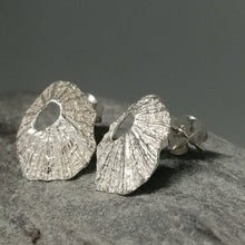 Load image into Gallery viewer, Sennen Cove limpet shell earrings in sterling silver handmade by Sharon McSwiney