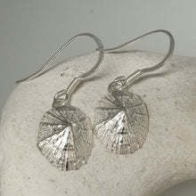 Load image into Gallery viewer, Small Marazion silver limpet shell drop earrings handmade by Sharon McSwiney
