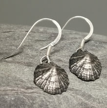 Load image into Gallery viewer, Oxidised small Marazion limpet shell drop earrings handmade by Sharon  McSwiney