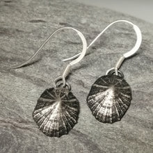 Load image into Gallery viewer, Oxidised small Marazion limpet shell drop earrings handmade by Sharon  McSwiney