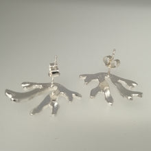 Load image into Gallery viewer, Seaweed frond stud earrings in sterling silver handmade by Sharon McSwiney