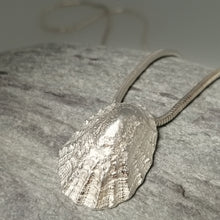 Load image into Gallery viewer, Porthminster beach sterling silver limpet shell necklace handmade by Sharon McSwiney
