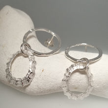 Load image into Gallery viewer, Porthmeor limpet shell earrings with hammered silver loop handmade by Sharon McSwiney