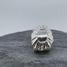 Load image into Gallery viewer, Marazion adjustable limpet shell ring