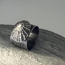 Load image into Gallery viewer, Oxidised Marazion adjustable full limpet shell ring