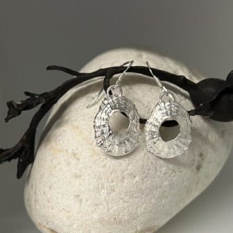 Mevagissey limpet shell drop earrings
