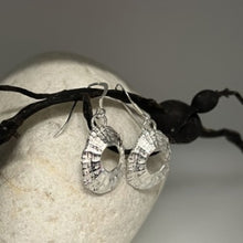 Load image into Gallery viewer, Mevagissey limpet shell drop earrings