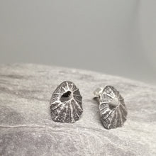 Load image into Gallery viewer, Sennen Cove limpet shell earrings in oxidised sterling silver handmade by Sharon McSwiney