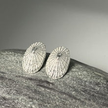 Load image into Gallery viewer, Porthmeor beach St Ives limpet earrings