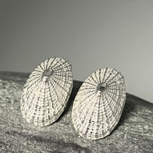 Load image into Gallery viewer, Porthmeor beach St Ives limpet earrings