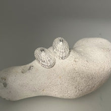 Load image into Gallery viewer, Porthmeor beach St Ives limpet earrings
