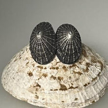 Load image into Gallery viewer, Porthmeor beach St Ives oxidised limpet earrings