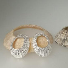 Load image into Gallery viewer, Prussia Cove limpet stud earrings