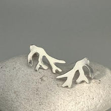 Load image into Gallery viewer, Seaweed frond stud earrings