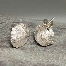 Load image into Gallery viewer, Small Marazion silver limpet shell stud earrings handmade by Sharon McSwiney