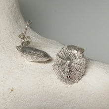 Load image into Gallery viewer, Small Marazion silver limpet shell stud earrings handmade by Sharon McSwiney