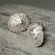 Load image into Gallery viewer, Small Marazion silver limpet shell stud earrings handmade by Sharon McSwiney
