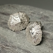 Load image into Gallery viewer, Small Marazion silver limpet shell stud earrings handmade by Sharon McSwiney