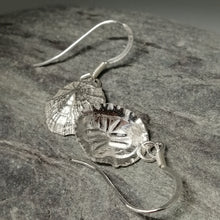 Load image into Gallery viewer, Small Marazion silver limpet shell drop earrings handmade by Sharon McSwiney