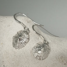 Load image into Gallery viewer, Small Marazion silver limpet shell drop earrings handmade by Sharon McSwiney