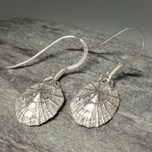 Load image into Gallery viewer, Small Marazion silver limpet shell drop earrings handmade by Sharon McSwiney