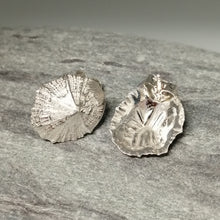 Load image into Gallery viewer, Small Marazion silver limpet shell stud earrings handmade by Sharon McSwiney
