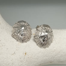 Load image into Gallery viewer, Small Marazion silver limpet shell stud earrings handmade by Sharon McSwiney