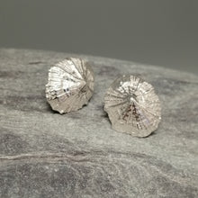 Load image into Gallery viewer, Small Marazion silver limpet shell stud earrings handmade by Sharon McSwiney