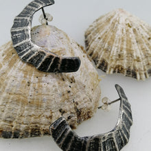 Load image into Gallery viewer, St Ives limpet fragment oxidised earrings